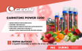 Carnitine Power 3200